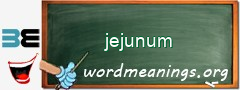 WordMeaning blackboard for jejunum